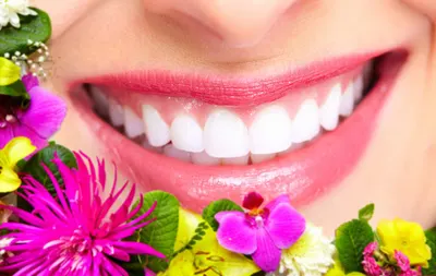 Stomatologia - Ewa Monkos